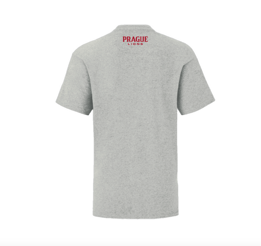 Children's T-Shirt Light Grey