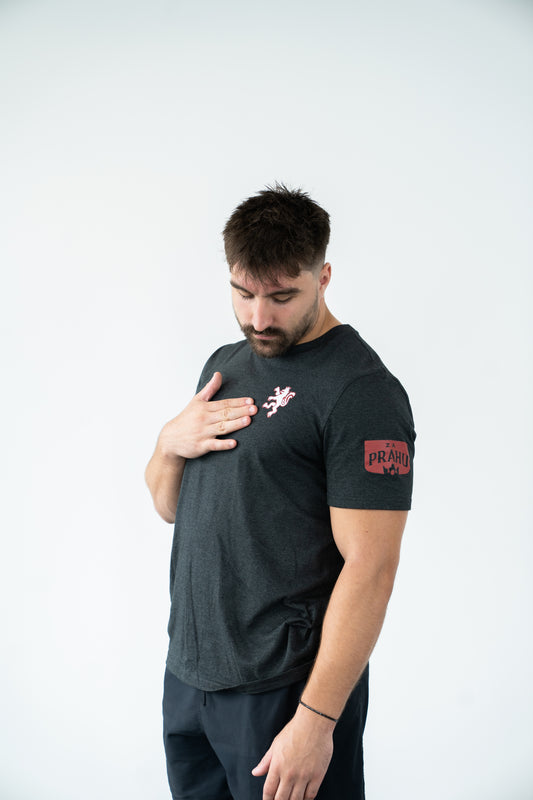 Grey Unisex T-Shirt